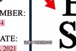 禁赛7场！斯图尔特被驱逐后还放言：我被活塞选中就来干这个的！